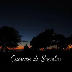 Curación de Secretos