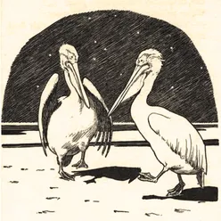 The Pelican Chorus