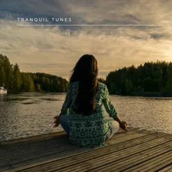 Tranquil Sounds Music for Relaxation and Unwinding