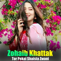 Tor Pekai Shaista Zwani