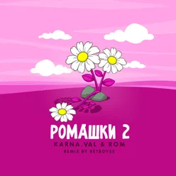 РОМАШКИ 2