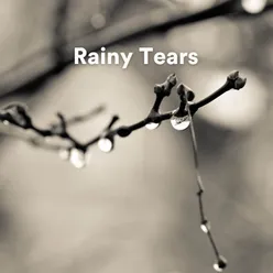 Rainy Tears