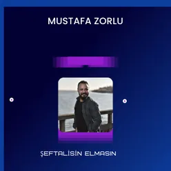 Şeftalisin Elmasın