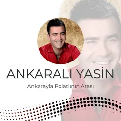 Ankarayla Polatlının Arası