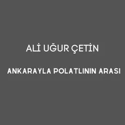 Ankarayla Polatlının Arası