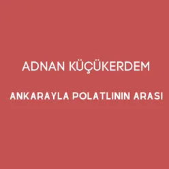 Ankarayla Polatlının Arası Canlı Performans