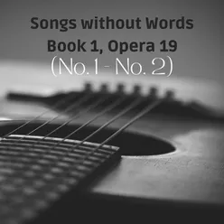 Mendelssohn: Songs Without Words - Book 1, Op. 19b Guitar Version by Patrizio Meli