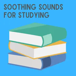 Soothing Sounds for Studying, Pt. 13