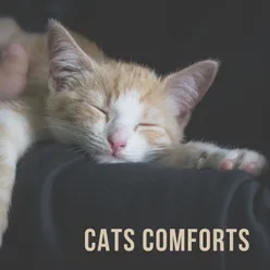 Cats Comforts, Pt. 2