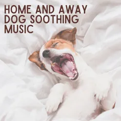 Home and Away Dog Soothing Music, Pt. 4