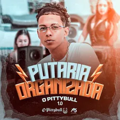 Putaria Organizada 1.0