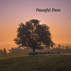Peaceful Piece