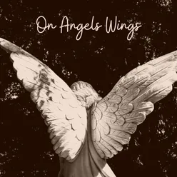 On Angels Wings, Pt. 12