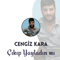 Çıkıp Yayladın mı