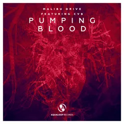 Pumping Blood Chris Deelay Remix