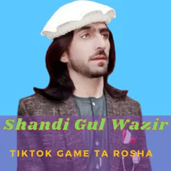 Tiktok Game Ta Rosha