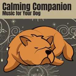 Calming Companion Music for Your Dog