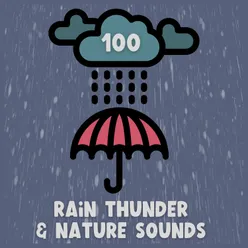 100 Rain Thunder & Nature Sounds