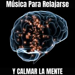 Música Para Relajarse Y Calmar La Menta