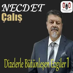 Yalnızlık Bu Kadar Acı Verir mi?