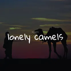 Lonely Camels