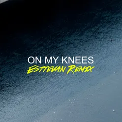On My Knees Remix
