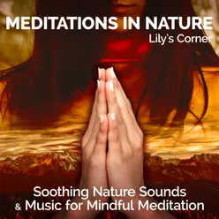Meditations in Nature (Soothing Nature Sounds & Music for Mindful Meditation)