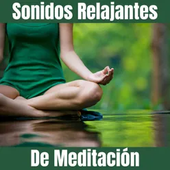 Meditacion Y Relajacion