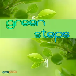 Green Steps Full Version