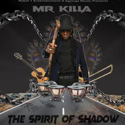 The Spirit of Shadow