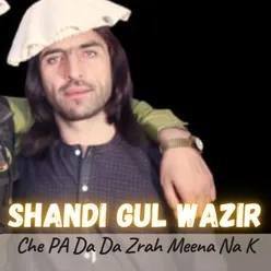 Che PA Da Da Zrah Meena Na K