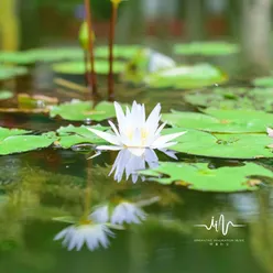 听雨眠 陶笛静心