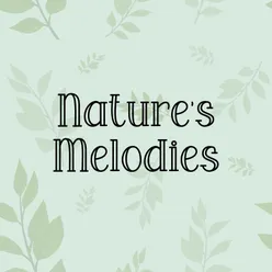 Nature's Melodies