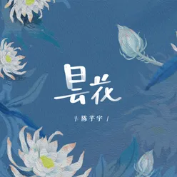 昙花