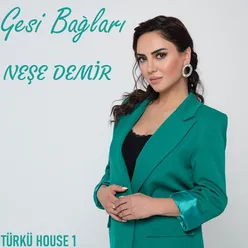 Gesi Bağları Türkü House 1