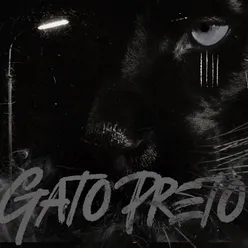 GATO PRETO