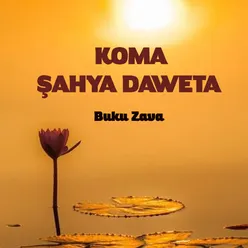 Buku Zava