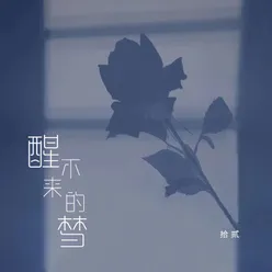 醒不来的梦