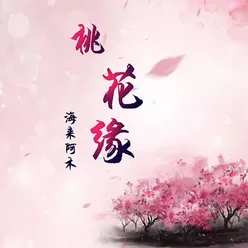 桃花缘 DJ沈念版