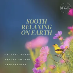 Sooth Relaxing on Earth