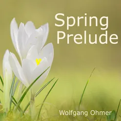 Spring Prelude