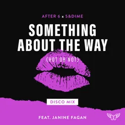 Something About The Way (Hot Or Not) Disco Mix