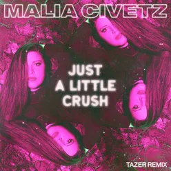Just A Little Crush Tazer Remix