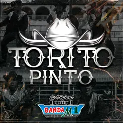 Torito Pinto