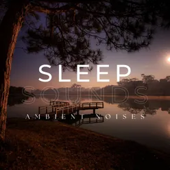 Sleep Sounds Ambient Noises for Nap Times, Pt. 5