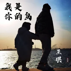 我是你的岛 DJ默涵版