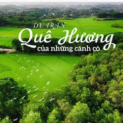 Quê Hương Của Những Cánh Cò