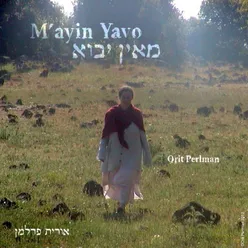 Vihitem Li Kdoshim, English Version