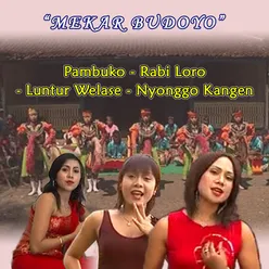 Pambuko / Rabi Loro / Luntur Welase / Nyonggo Kangen From "Mekar Budoyo"