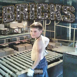 BRICKS